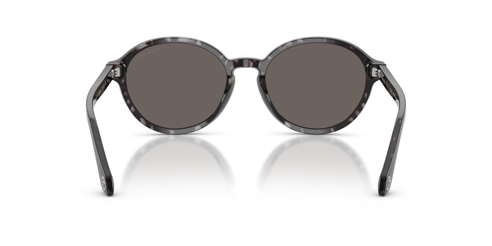 Giorgio Armani AR8237  6236B1 53