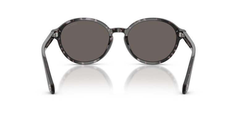 Giorgio Armani AR8237  6236B1 53