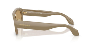 Giorgio Armani AR8239  622273 57