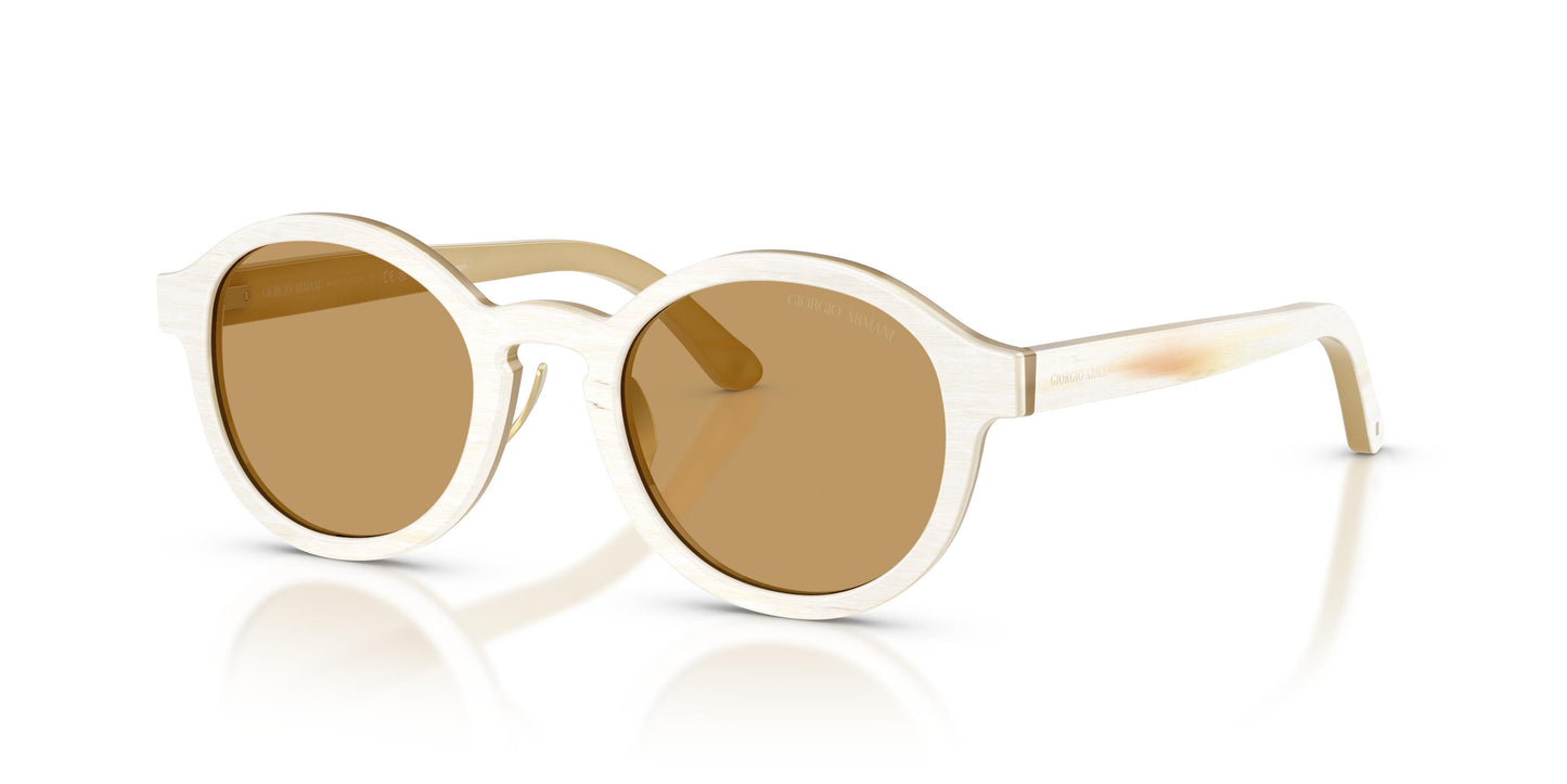Giorgio Armani AR8240  628373 47