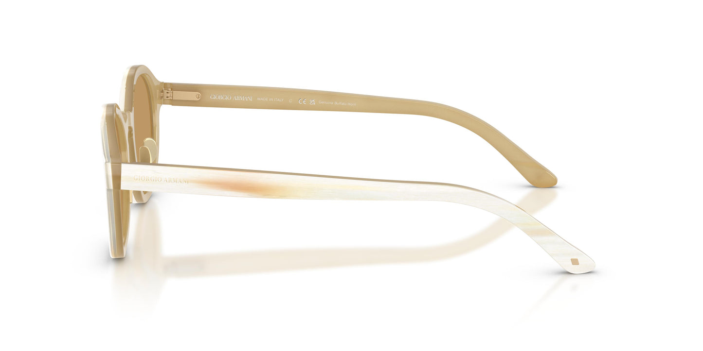 Giorgio Armani AR8240  628373 47