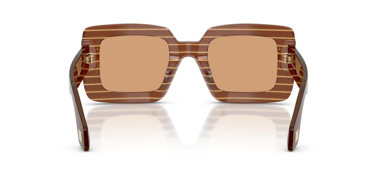 Giorgio Armani AR8241U  63112S 48