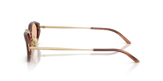 Giorgio Armani AR8242 616273 50