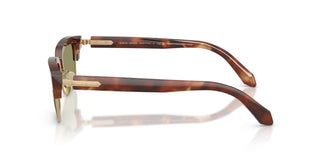 Giorgio Armani AR8243 630214 52