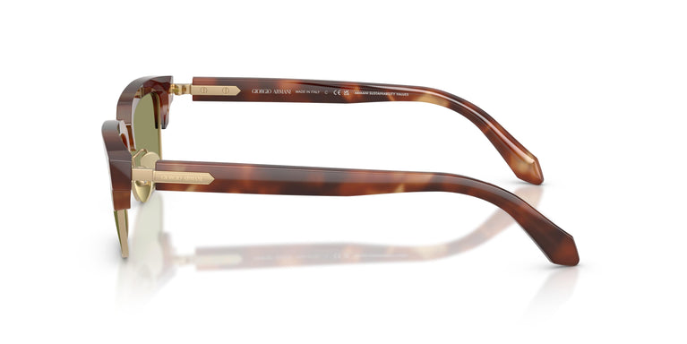 Giorgio Armani AR8243 630214 52