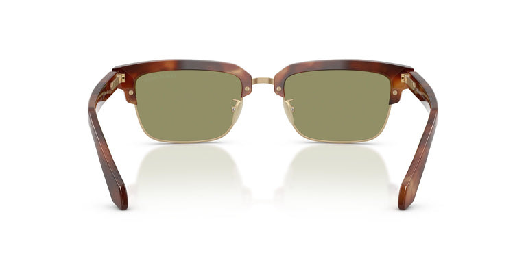 Giorgio Armani AR8243 630214 52