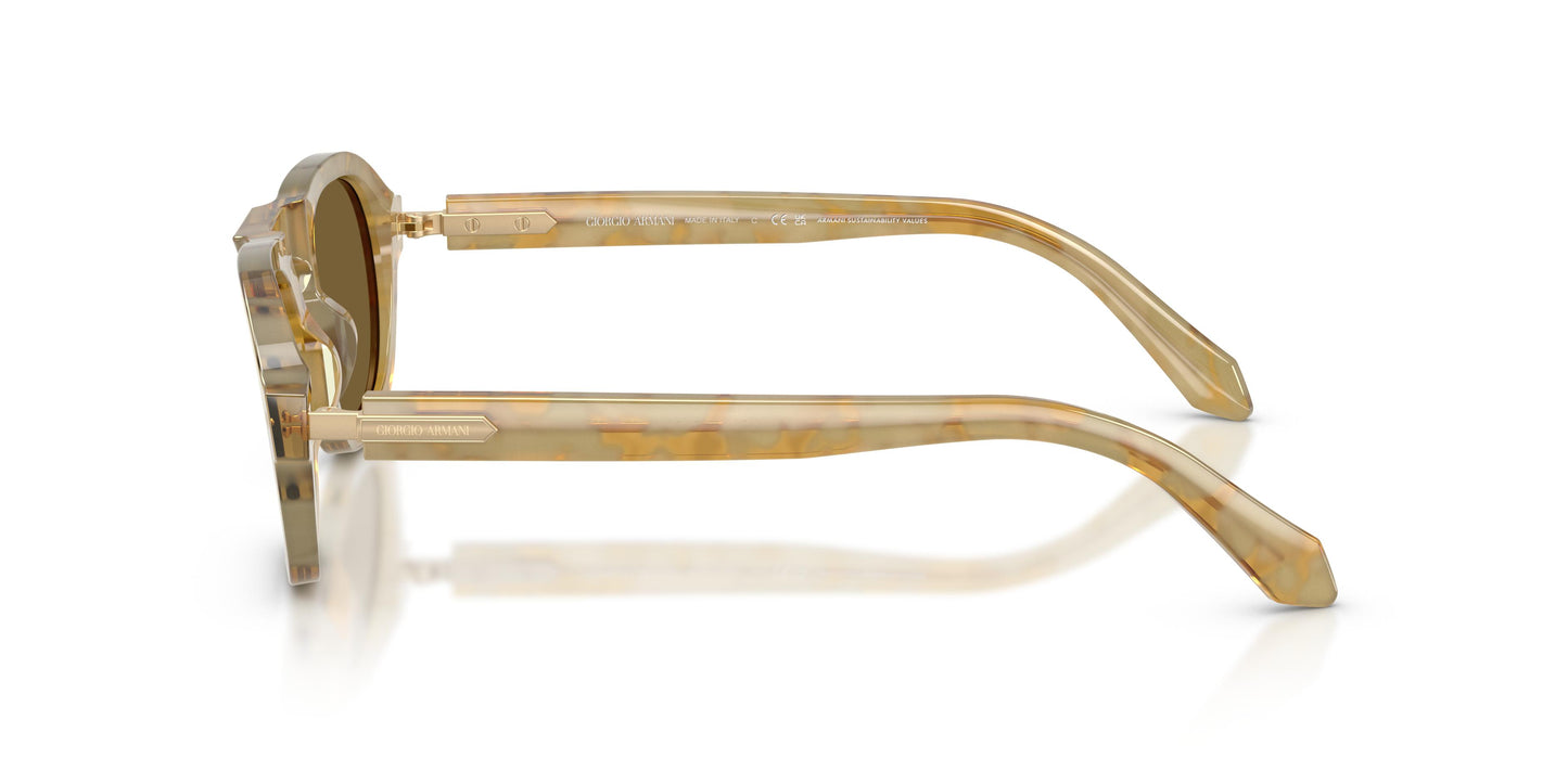 Giorgio Armani AR8244 630073 49