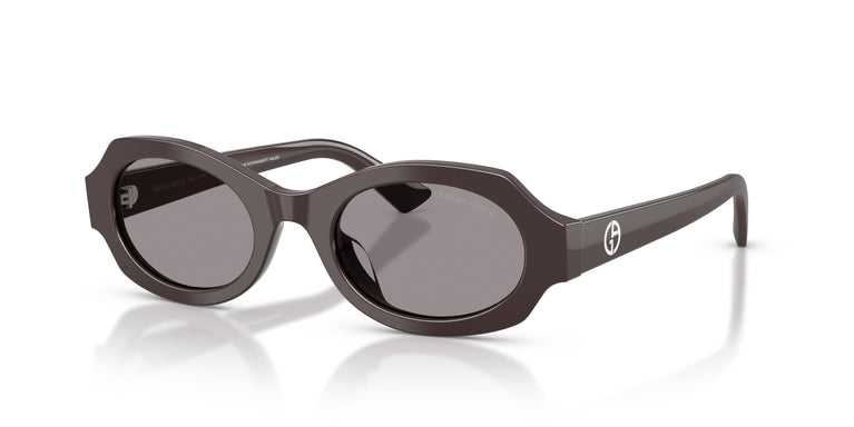 Giorgio Armani AR8245HU 6306/1 49