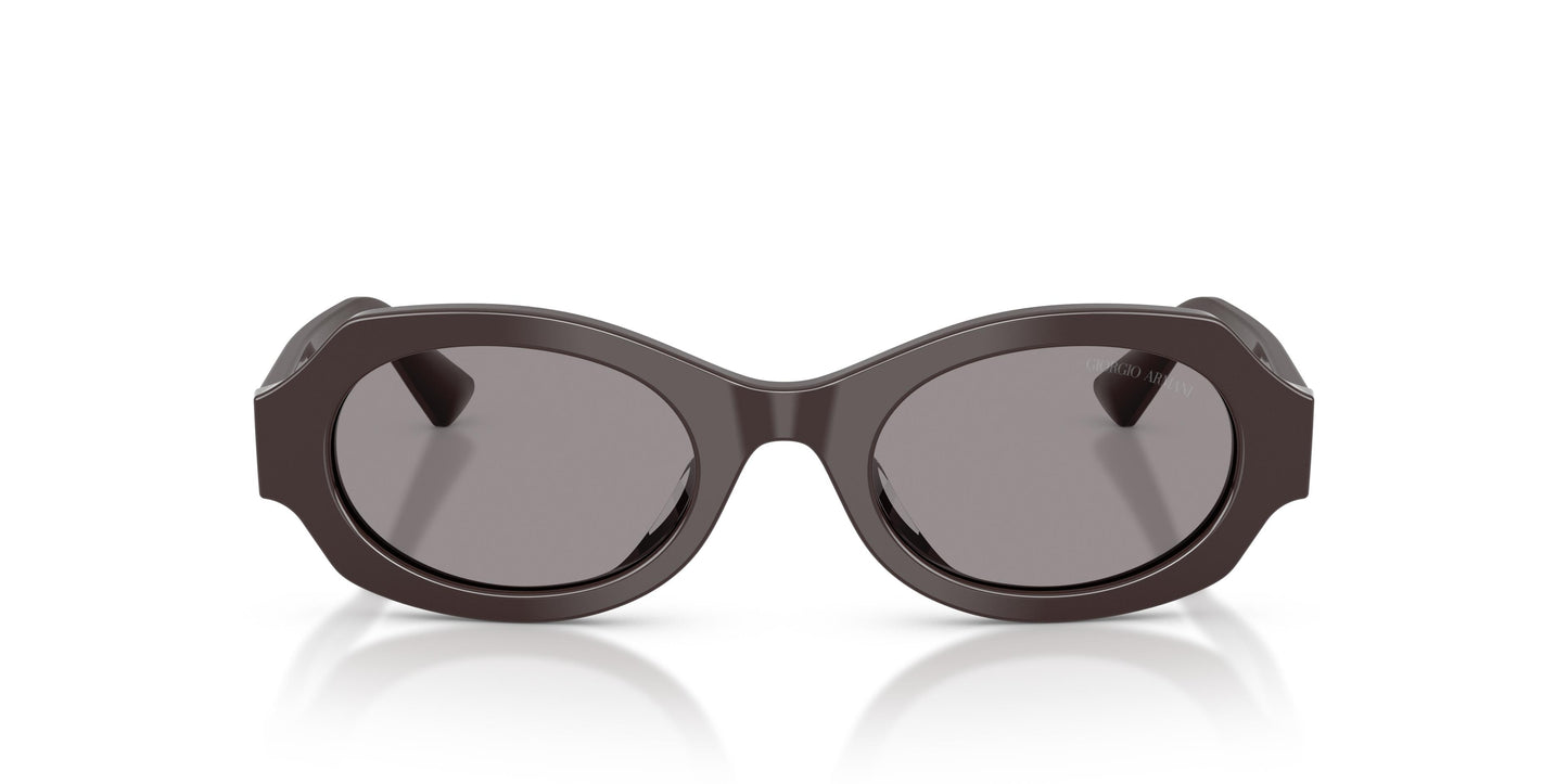 Giorgio Armani AR8245HU 6306/1 49