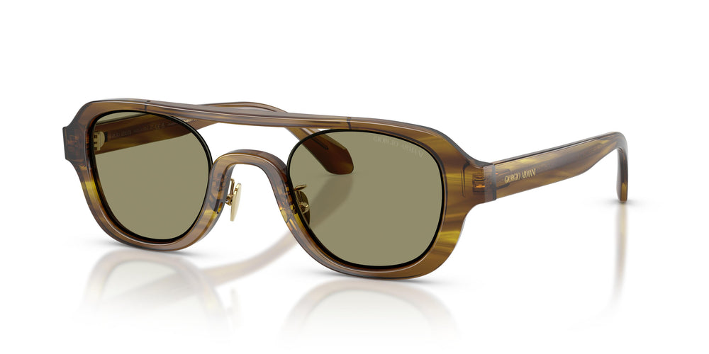 Giorgio Armani AR8247 63302A 48