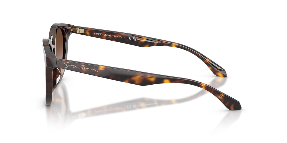 Giorgio Armani AR8252U 612413 49