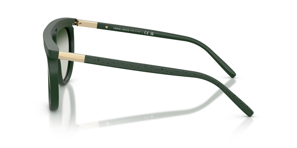 Giorgio Armani AR8262 64307Z 58