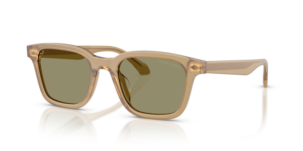 Giorgio Armani AR8265U 64732A 50