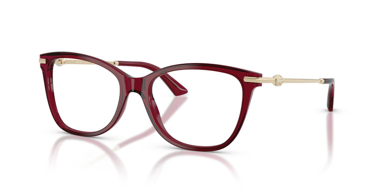 Jimmy Choo JC3007HB  5062 52