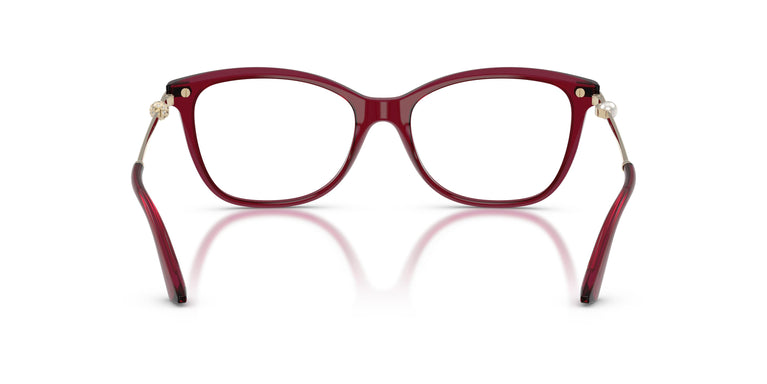 Jimmy Choo JC3007HB  5062 54