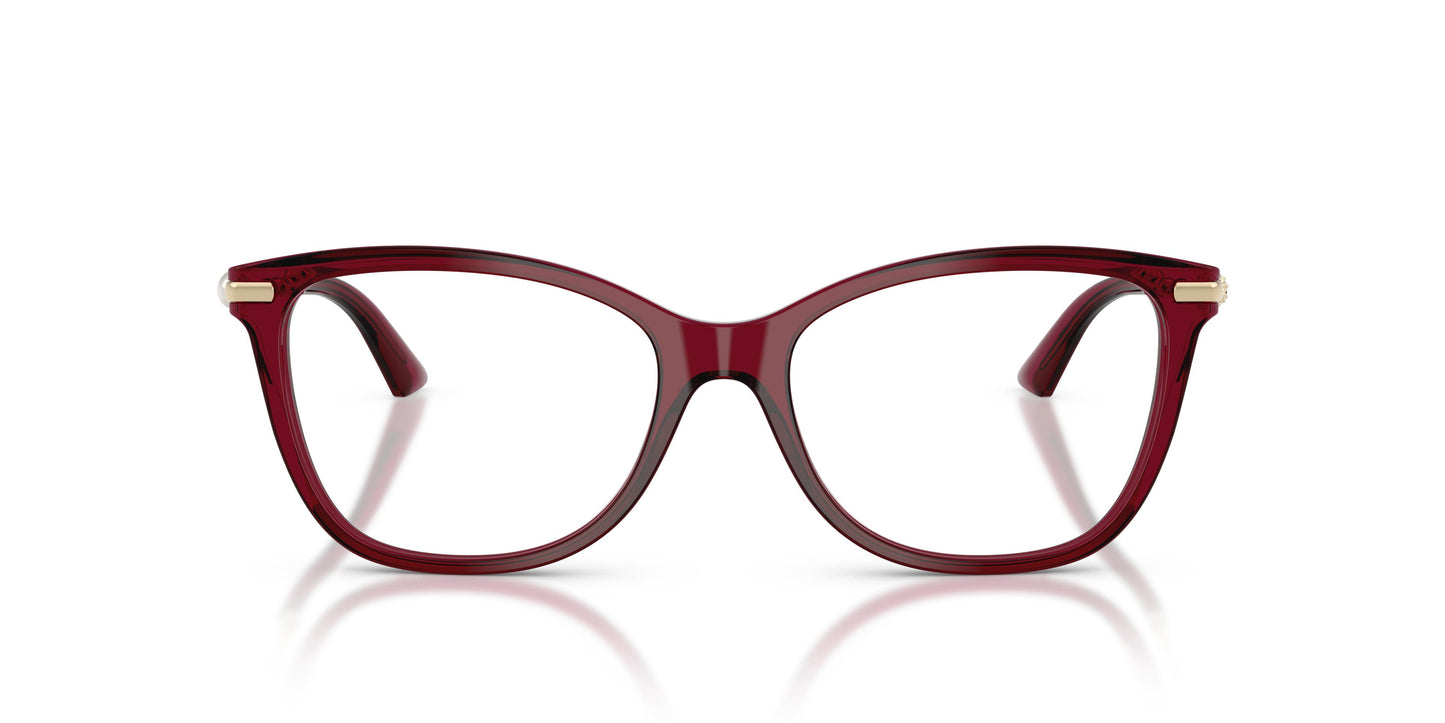 Jimmy Choo JC3007HB  5062 54