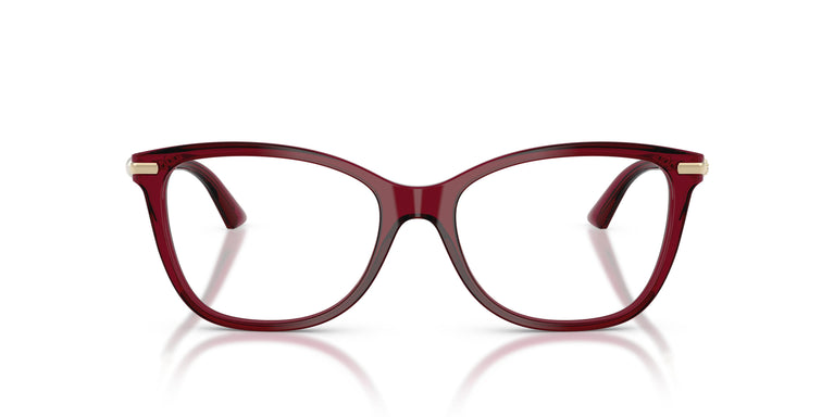 Jimmy Choo JC3007HB  5062 54