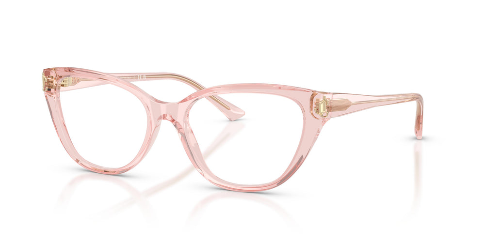 Jimmy Choo JC3011 5034 52