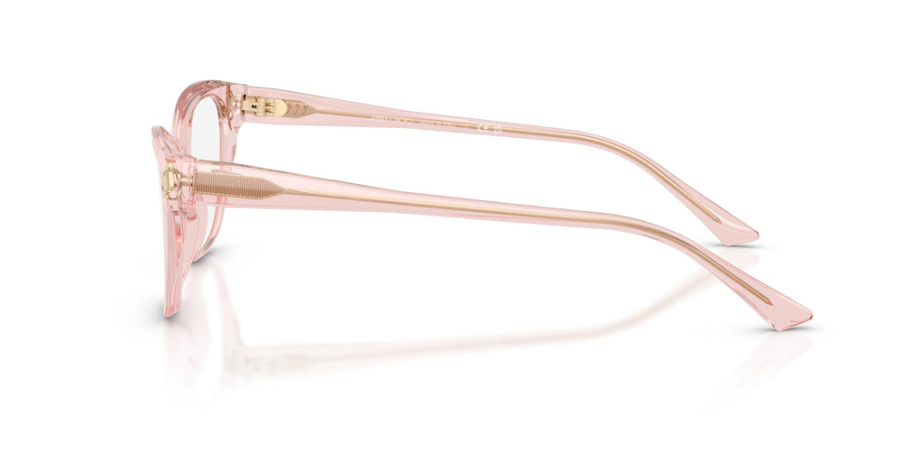 Jimmy Choo JC3011 5034 52