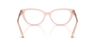 Jimmy Choo JC3011 5034 52