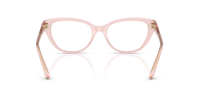 Jimmy Choo JC3011 5034 54