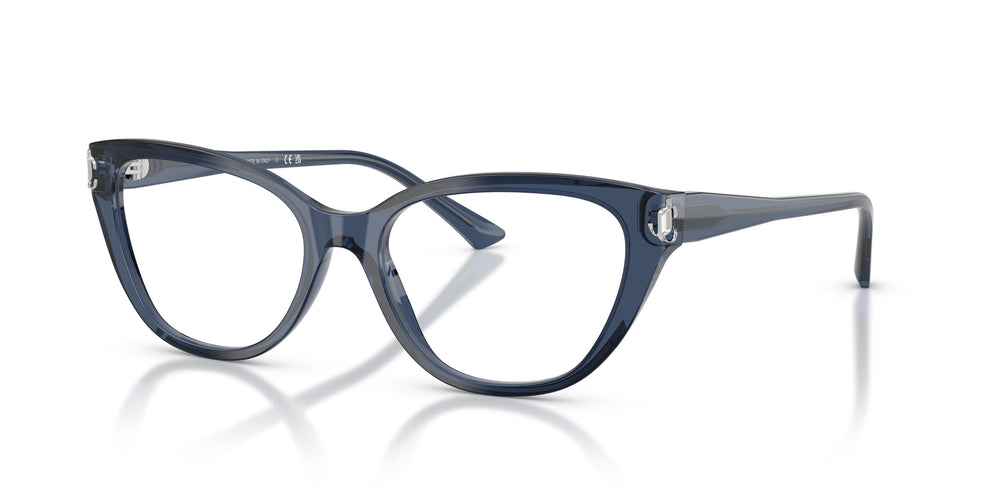 Jimmy Choo JC3011 5035 52