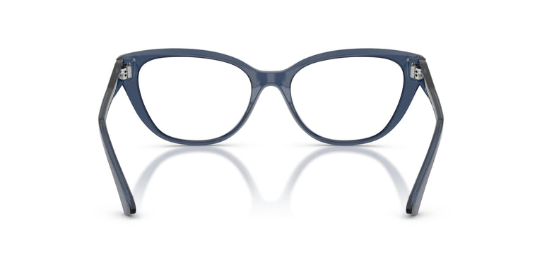 Jimmy Choo JC3011 5035 54