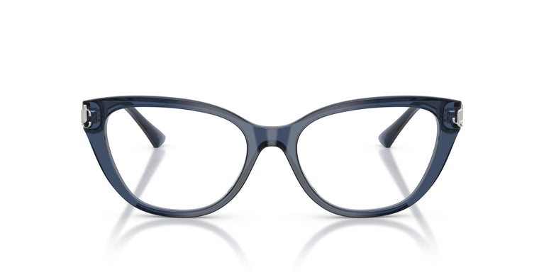 Jimmy Choo JC3011 5035 52