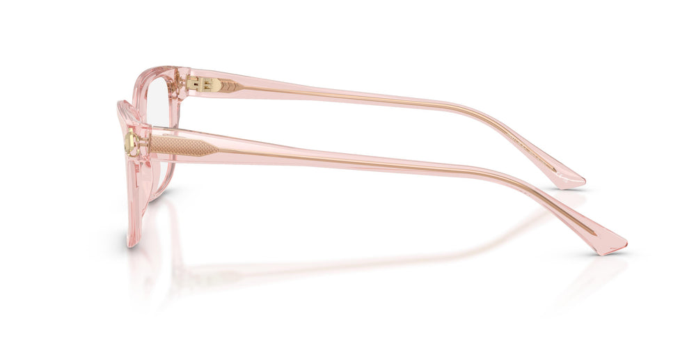Jimmy Choo JC3012 5034 55