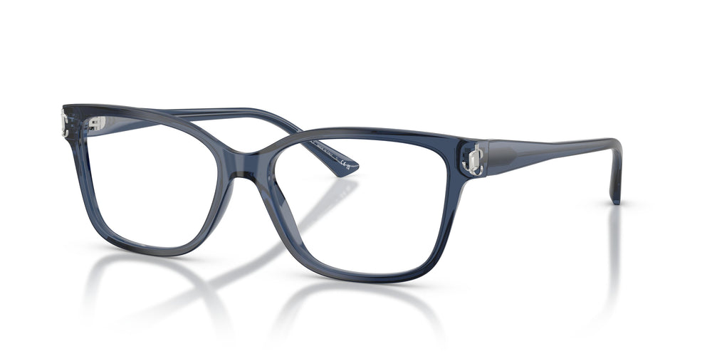 Jimmy Choo JC3012 5035 55