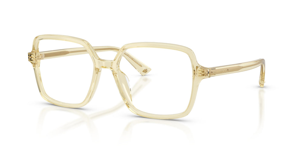 Jimmy Choo JC3046U 5083 53
