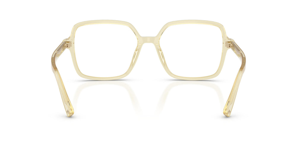 Jimmy Choo JC3046U 5083 53
