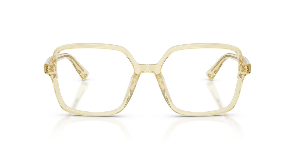 Jimmy Choo JC3046U 5083 53