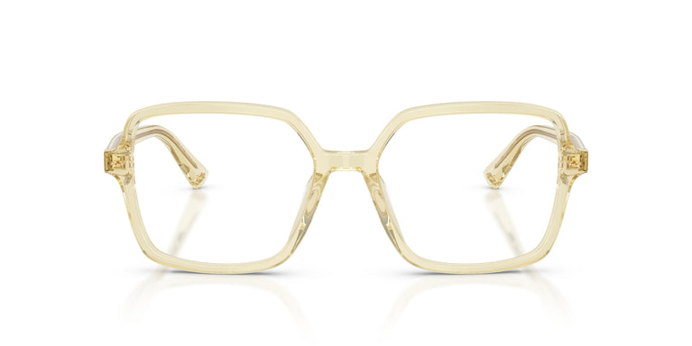 Jimmy Choo JC3046U 5083 55