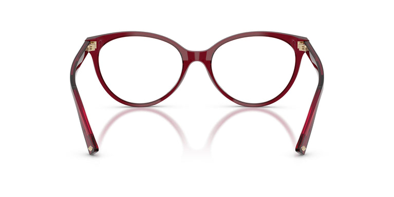 Jimmy Choo JC3047 5062 55