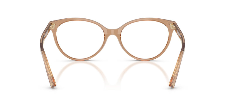 Jimmy Choo JC3047 5076 55