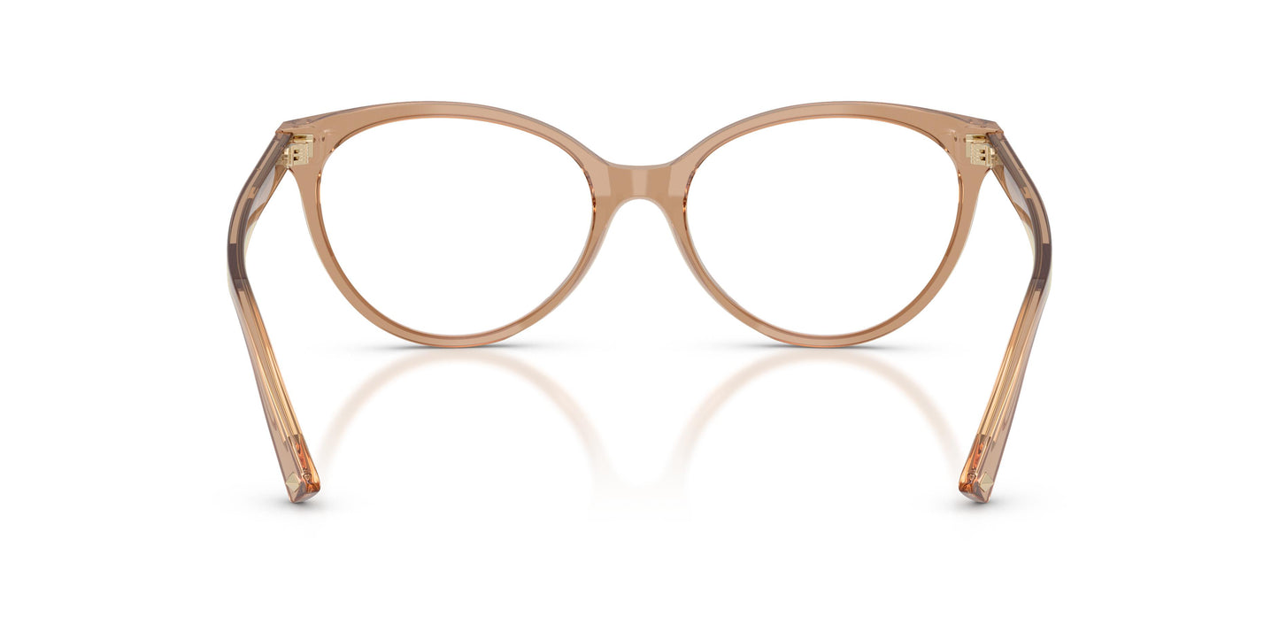 Jimmy Choo JC3047 5076 52