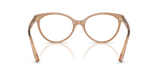 Jimmy Choo JC3047 5076 52