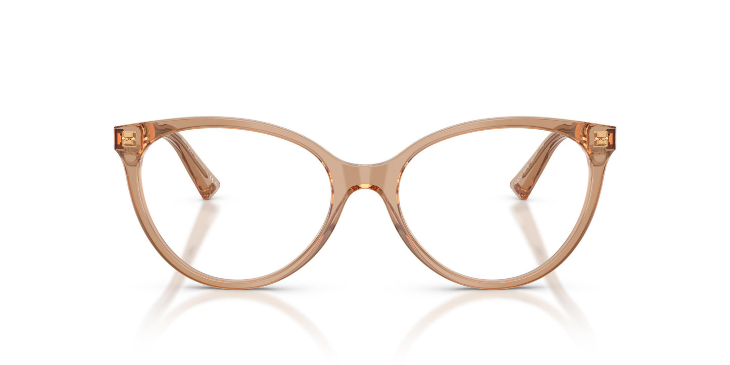 Jimmy Choo JC3047 5076 55