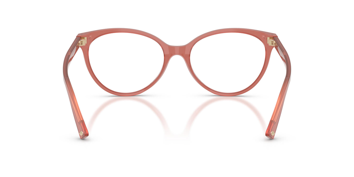 Jimmy Choo JC3047 5084 55