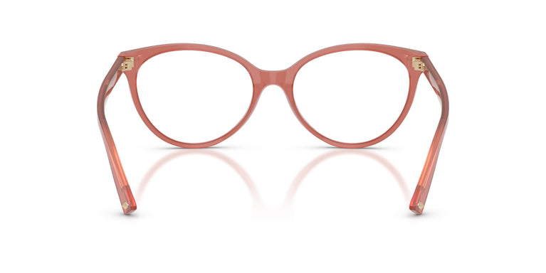 Jimmy Choo JC3047 5084 55