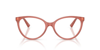 Jimmy Choo JC3047 5084 55