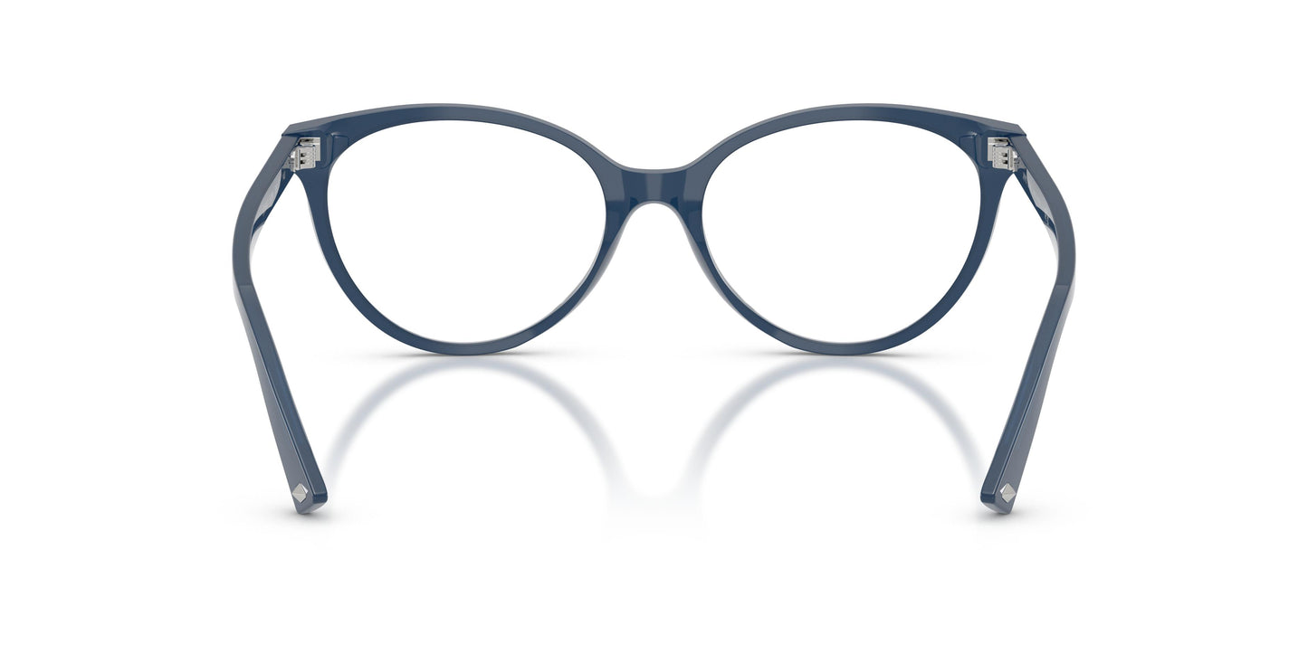 Jimmy Choo JC3047 5088 55