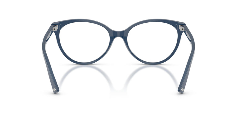 Jimmy Choo JC3047 5088 52