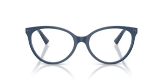 Jimmy Choo JC3047 5088 52