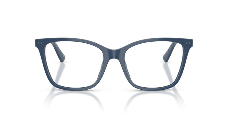 Jimmy Choo JC3048U 5088 54