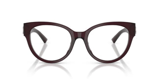 Jimmy Choo JC3050U 5086 52