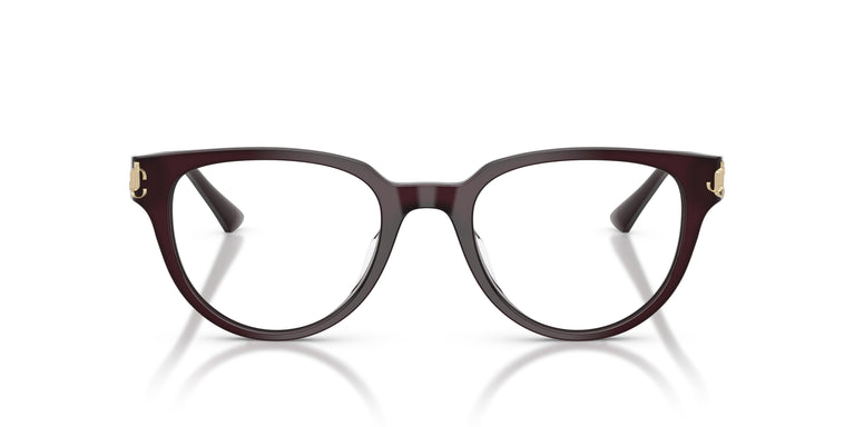 Jimmy Choo JC3051D 5086 51