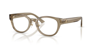 Jimmy Choo JC3058D 5051 50