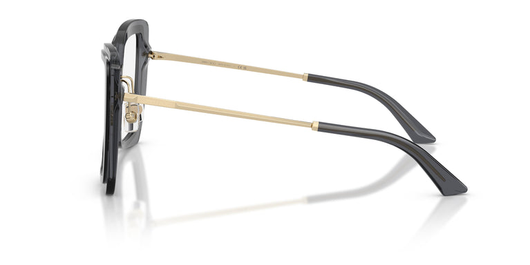 Jimmy Choo JC3059 5103 50